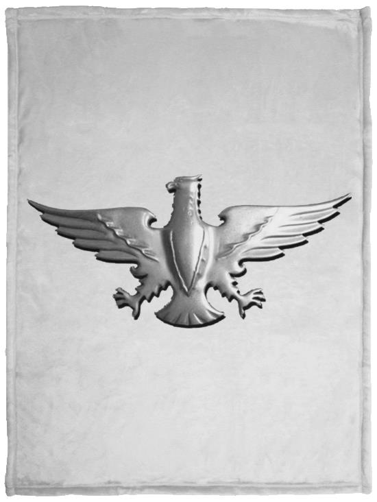 Eagle Emblem VPS Cozy Plush Fleece Blanket - 30x40